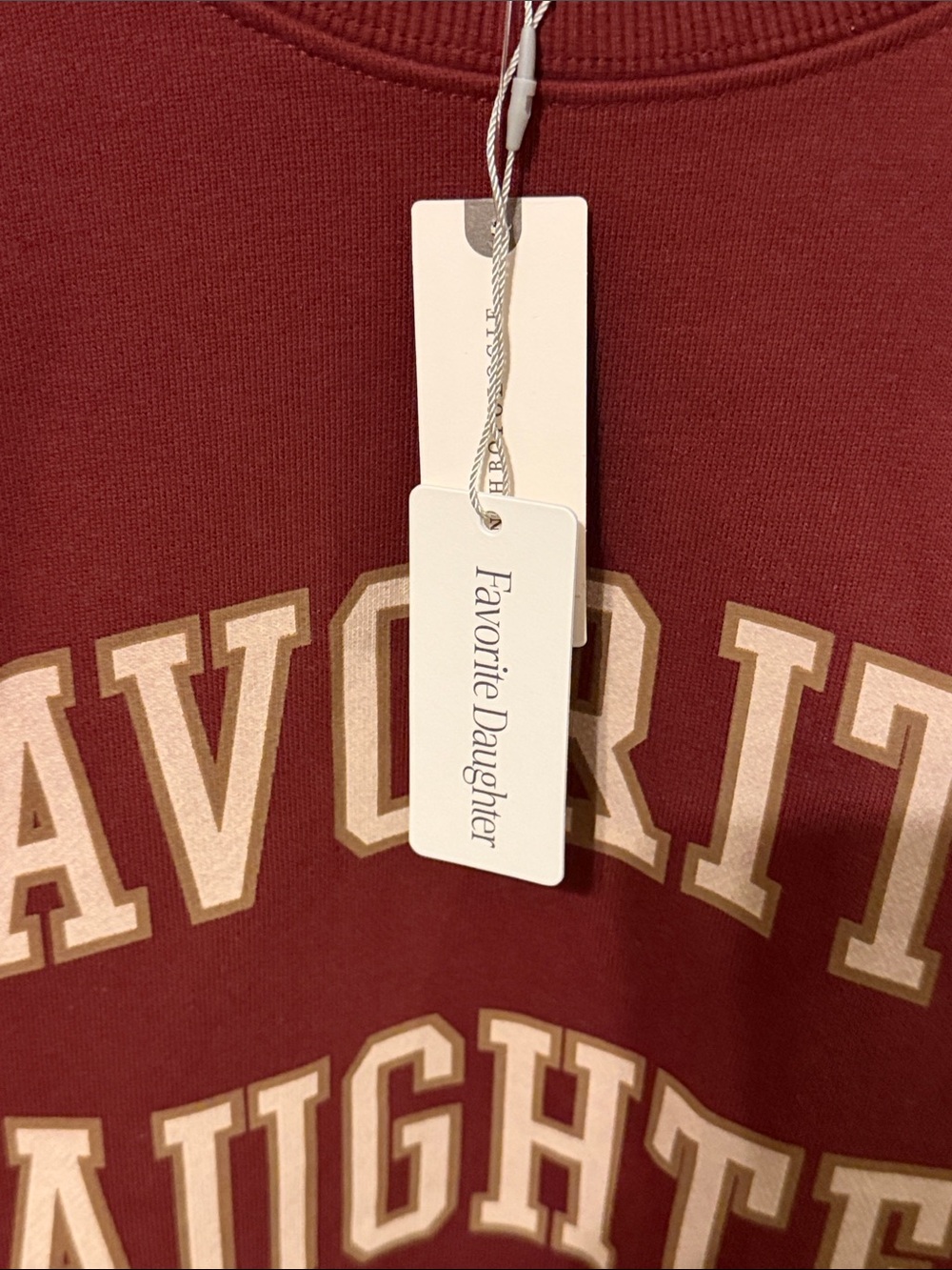 Favorite Daughter Crewneck Sweatshirt - Brick - Picture 2 of 3